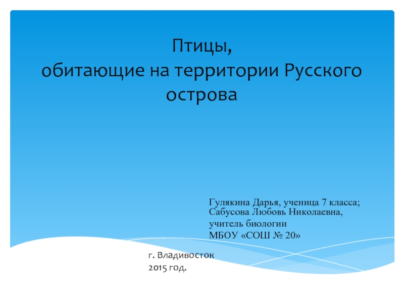 Презентация Птицы Русского острова