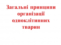 Загальні принципи організації одноклітинних тварин