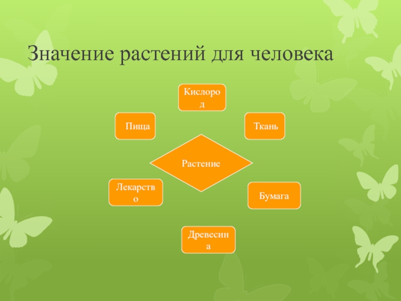 Значение растений в жизни человека схема