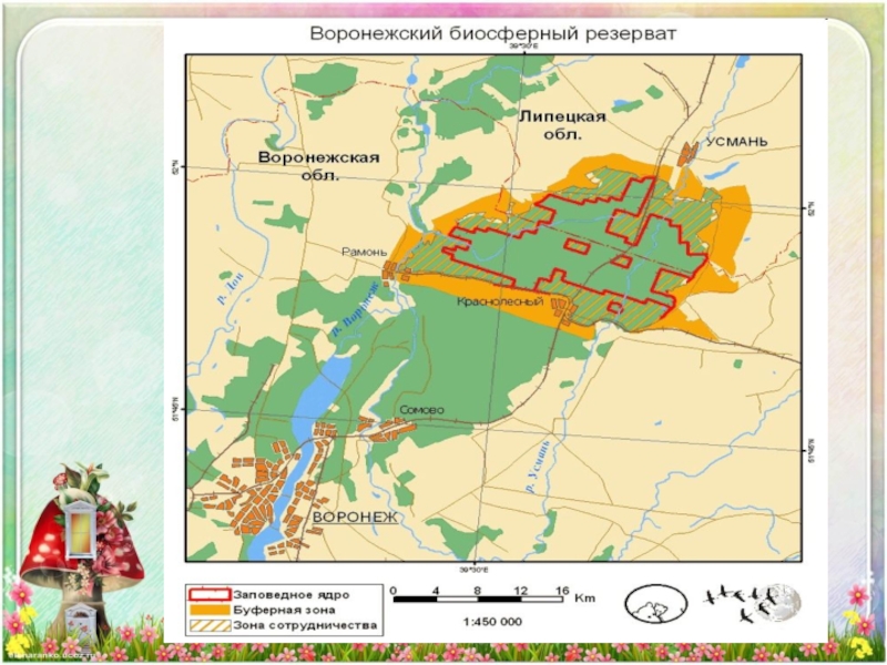 Бобровый заповедник карта