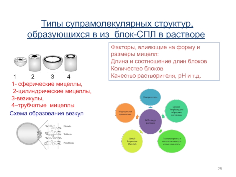 Структура сформировалась раньше остальных. Типы супрамолекулярных структур. Мицеллы блок-сополимеров. Интерактивный метод цепочка. Каталоги образуют структуру.