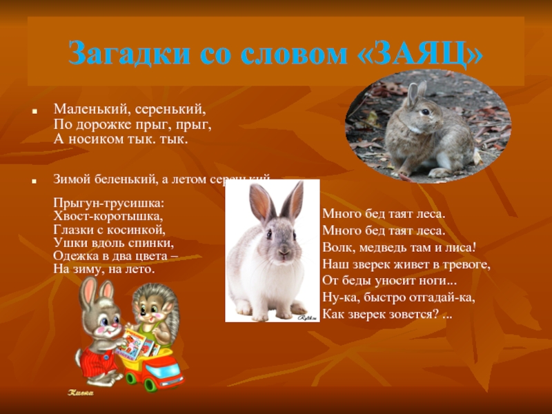 Предложение со словом заяц. Загадка про зайца. Предложение со словом заяц 1 класс. Составить предложение со словом заяц.