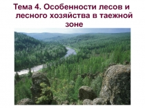 Особенности лесов и лесного хозяйства в таежной зоне