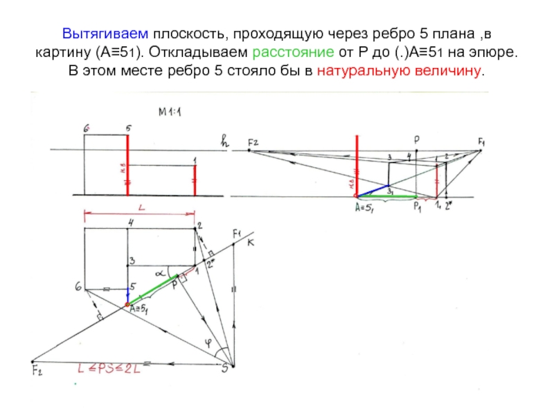 Плоскость проходит через ребро. Перспектива эпюр. Сущность метода перспективы.. Каковы этапы построения перспективы объекта способом архитектора?. Вытянутое построение.