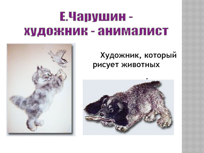 Е.Чарушин - художник - анималист     Художник, который рисует животных