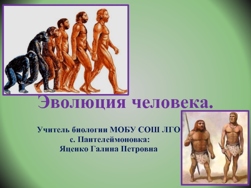 Презентация Эволюция человека (11 класс)