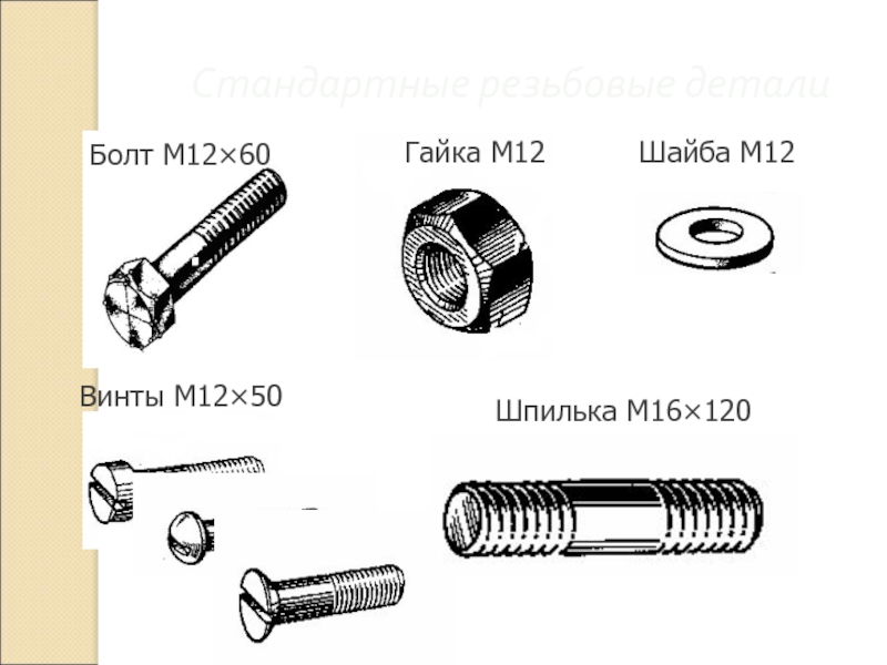 Резьба 12. Резьба м12 стандартная резьба м12. Шпилька м16 шайба м16 гайка м16. Гайка м12 стандартная резьба. Болт м12 стандартный шаг резьбы.