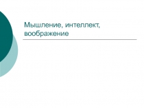 Мышление, интеллект, воображение