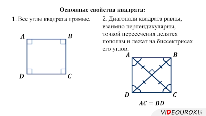 Прямоугольник диагонали которого взаимно перпендикулярны рисунок