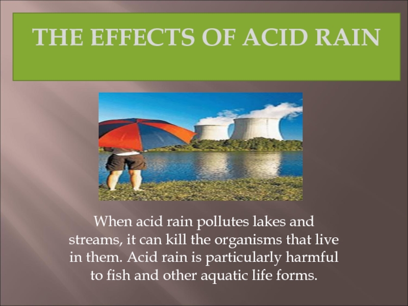 Реферат: Acid Rain And It