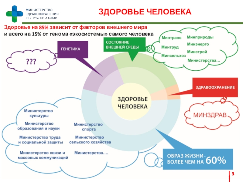 Проект формирование системы мотивации граждан к здоровому образу жизни