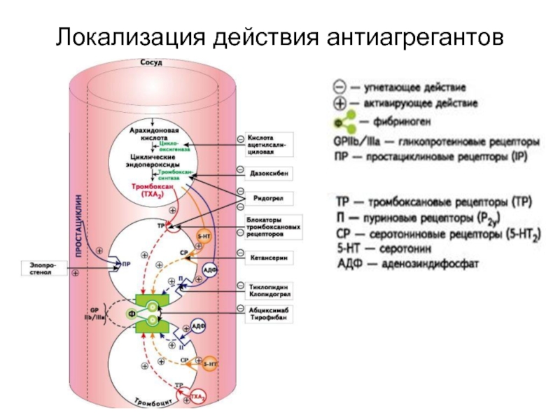 Локализация проекта это