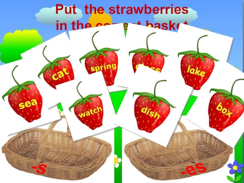 -s
- es
Put the strawberries in the correct basket