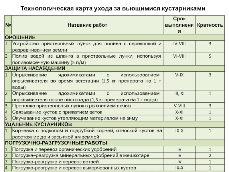 Технологическая карта ухода за садом