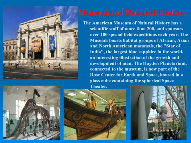 Museum of Natural HistoryThe American Museum of Natural History has a scientific staff of more than 200,