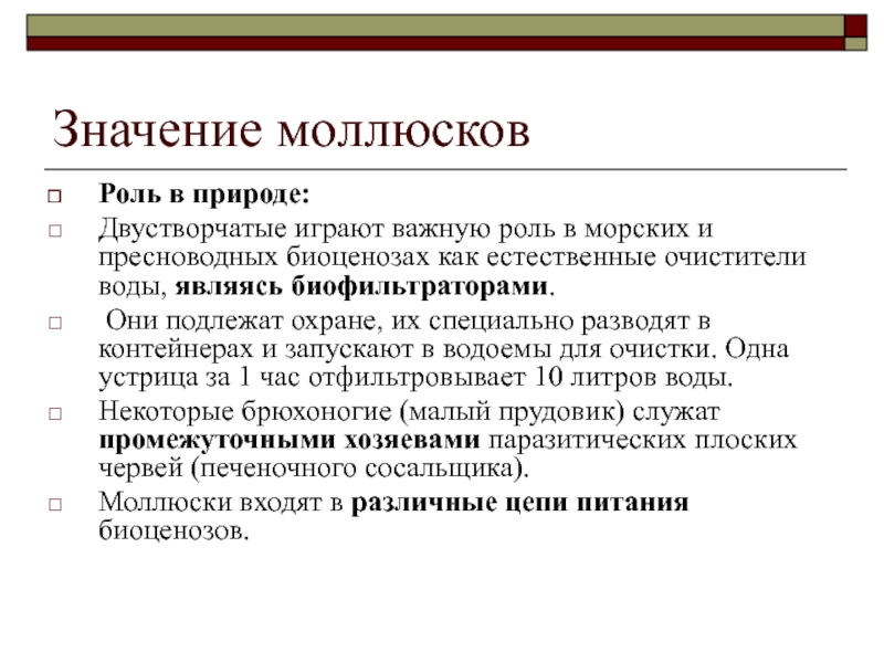 Значение моллюсков в жизни. Роль брюхоногих моллюсков в природе. Роль двустворчатых моллюсков в природе. Роль брюхоногих моллюсков в природе и жизни человека. Значение брюхоногих моллюсков в природе.