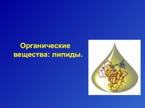 Орган ические вещества : липиды