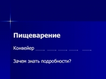 Пищеварение 