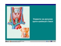голова и шея.ppt