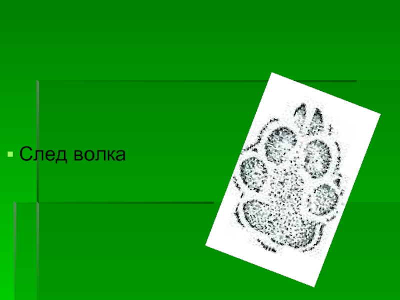 Презентация следы на снегу 1 класс - 94 фото