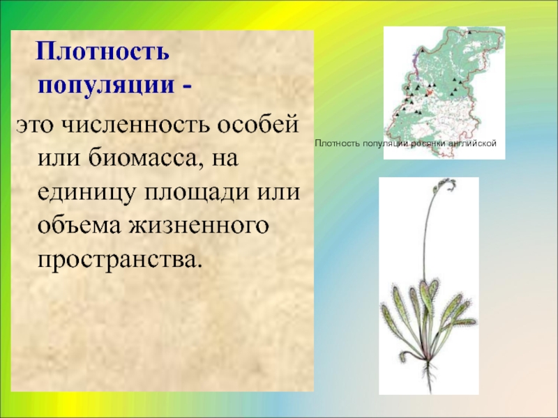 Функционирование популяции в природе презентация 9 класс пономарева и н