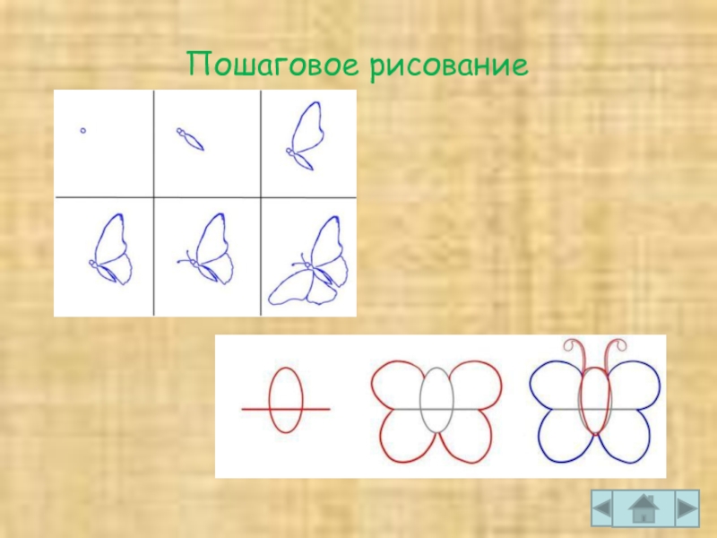 Презентации пошаговое рисование