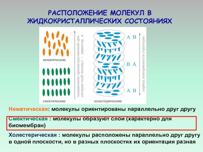 Параллельно друг другу. Флексоэлектрический эффект в жидких кристаллах. Расположение молекул в жидких кристаллах. Расположение молекул в аморфном и жидкокристаллическом состоянии. Жидкокристаллическое состояние.