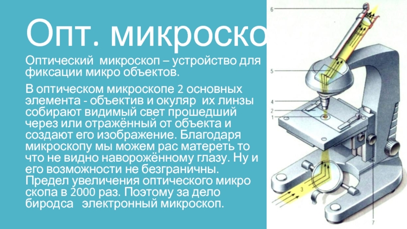 Устройство микроскопа оптическая схема