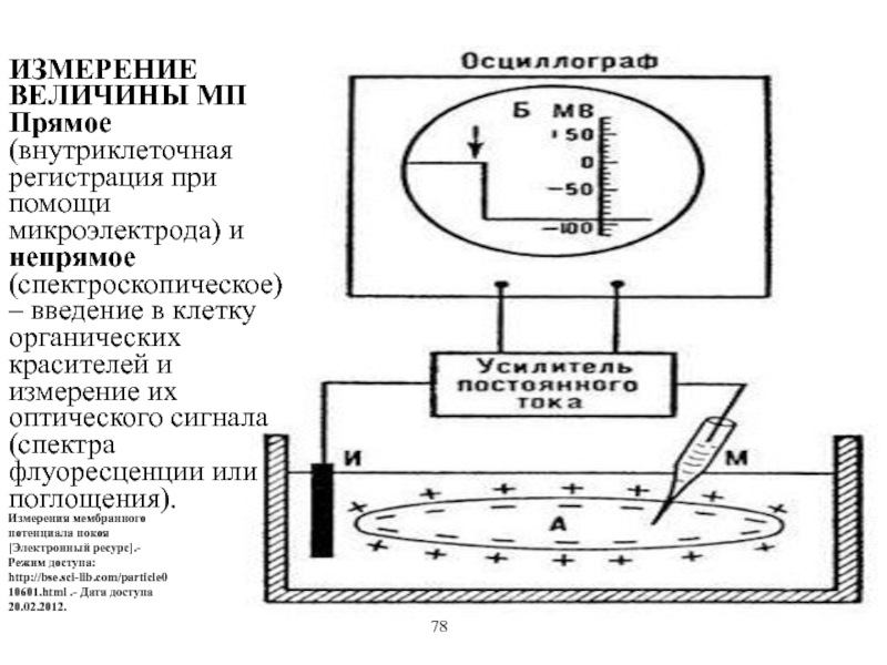 Измерение потенциала. Микроэлектродный метод измерения мембранного потенциала. Методы измерения мембранного потенциала покоя.