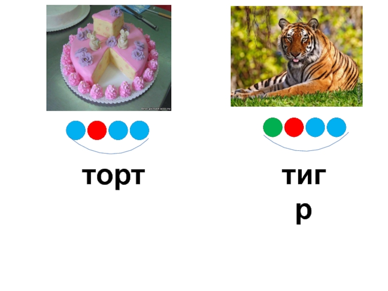 Торт звуковая схема