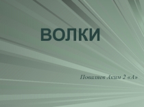 Волки