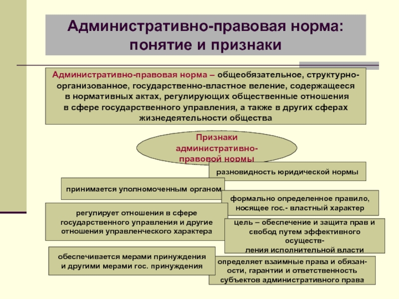 Структура административного правоотношения презентация