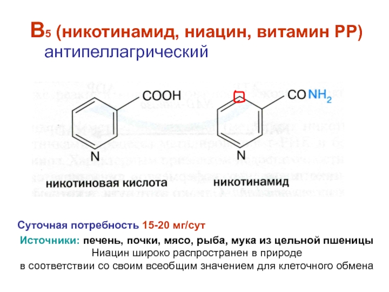 Никотиновая кислота витамин в3. Витамин в3 (рр, ниацин). Витамин в3 (никотинамид) порошок. Никотинамид витамин в3. Никотинамид (витамин рр строение.