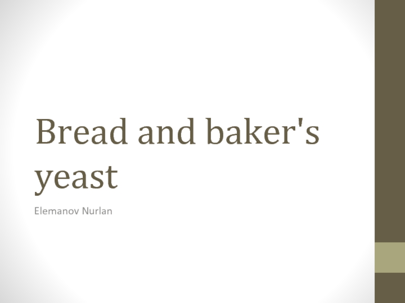 Презентация Bread and baker's yeast
