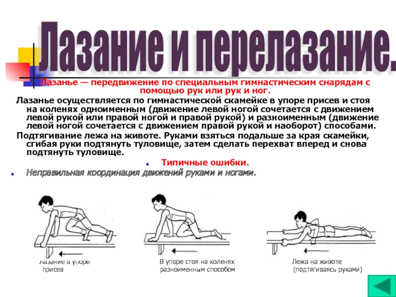 Навык лазания. Передвижение по гимнастической скамейке. Способы передвижения по гимнастической стенке. Передвижение по гимнастической скамейке ходьба. Ползание на спине по гимнастической скамейке.