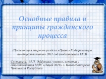 Основные правила и принципы гражданского процесса