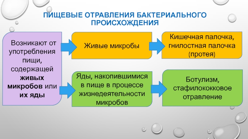 Интоксикация бактериями. Бактериальные пищевые отравления. Пищевые отравления микробного происхождения. Отравление бактериального происхождения. Пищевое отравление микробного происхождения бактериальные.