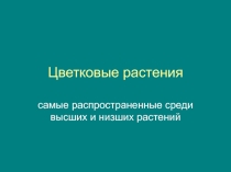 Цветковые растения