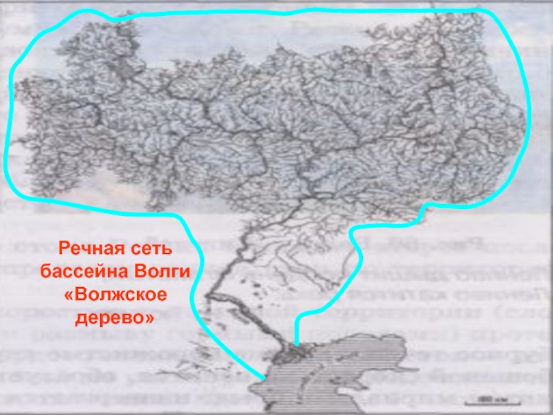 Карта волжского бассейна россии