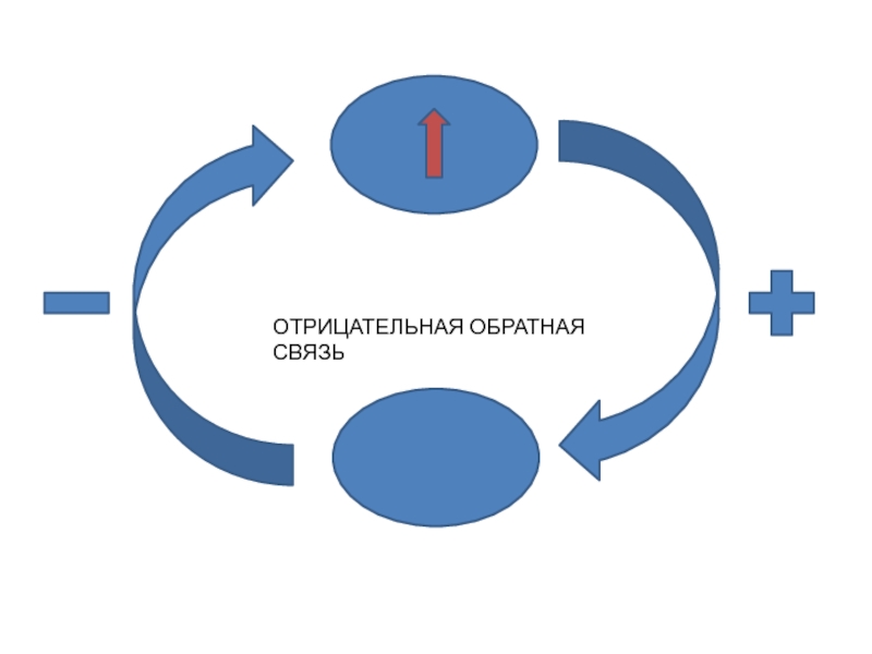 Отрицательная обратная связь презентация