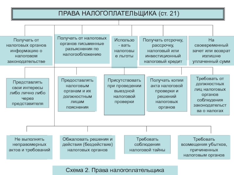 Составьте схему прав налогоплательщика