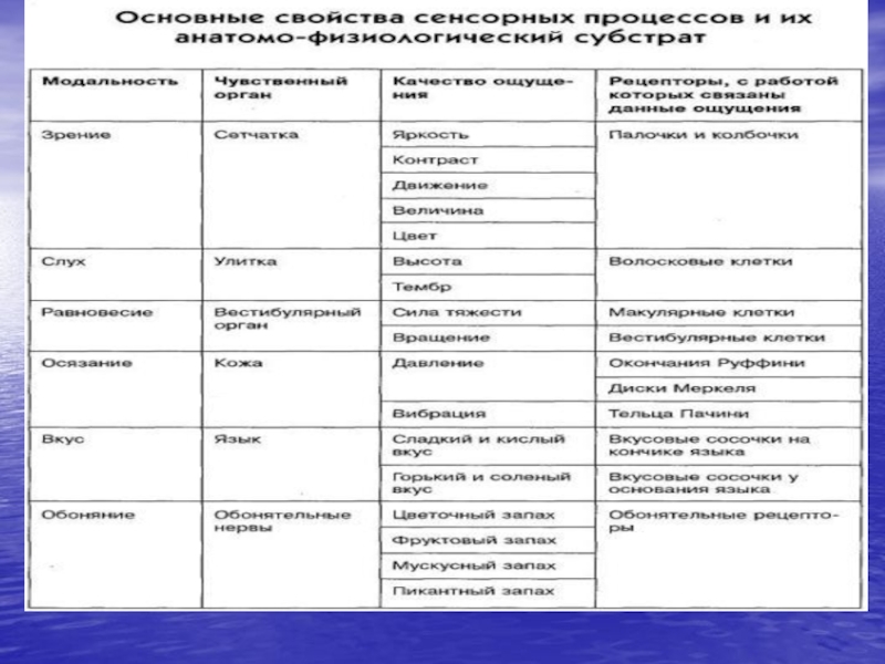 Свойства сенсорных процессов. Основные свойства сенсорных процессов. Основные свойства сенсорных процессов таблица.