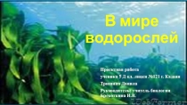 В мире водорослей