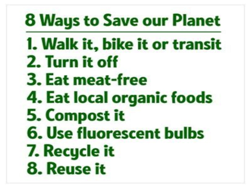 Реферат На Тему Save Our Planet