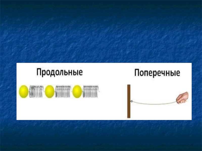 На рисунке представлена фотография шнура по которому распространяется поперечная волна