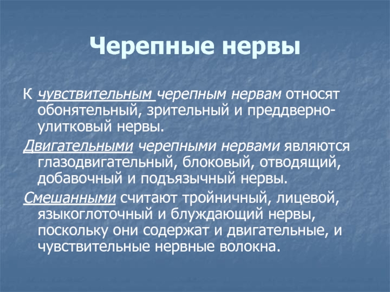 К двигательным нервам относится