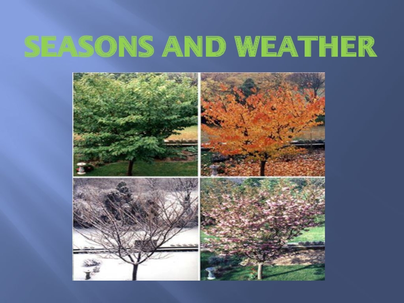 Презентация Seasons and Weather