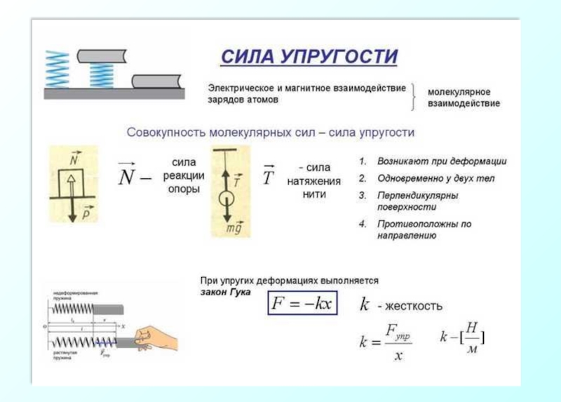 Закон гука проект по физике