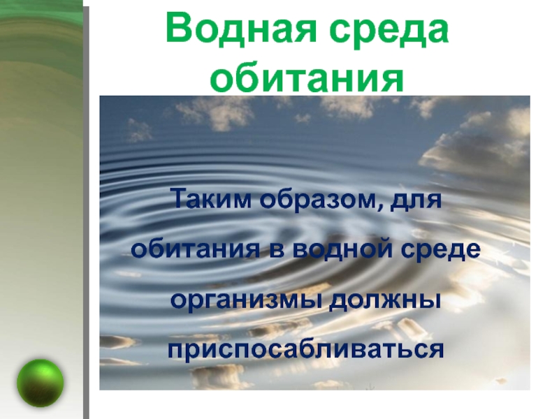 В водной среде достаточно света и кислорода