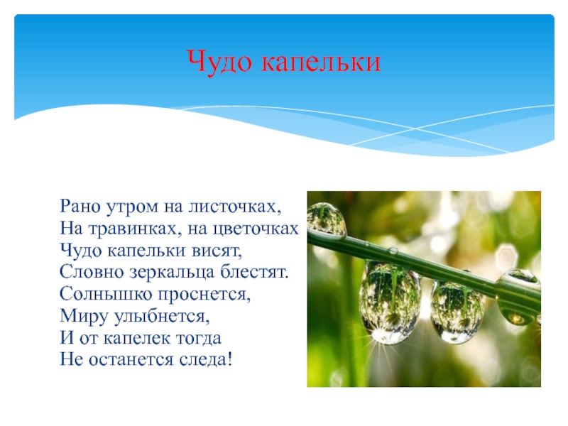 Роса доклад. Капли росы. Чудо капелька. Роса сообщение для детей. Презентация на тему роса 3 класс.